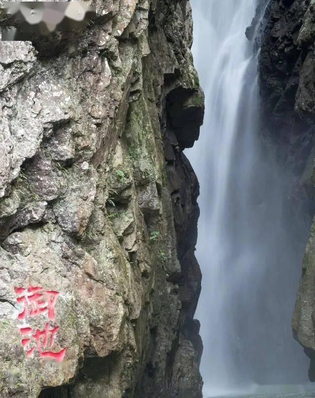 2023年净利预计同比降逾八成,海通证券抛出不少于3亿元回购计划